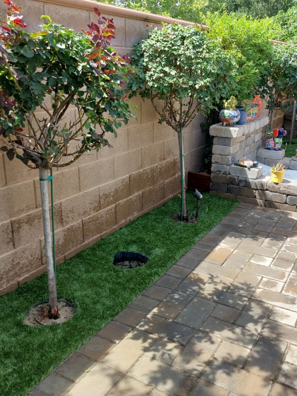 1 Local Lawn Service