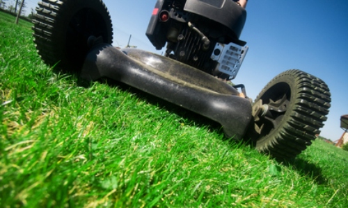 Lawn Service Near Me