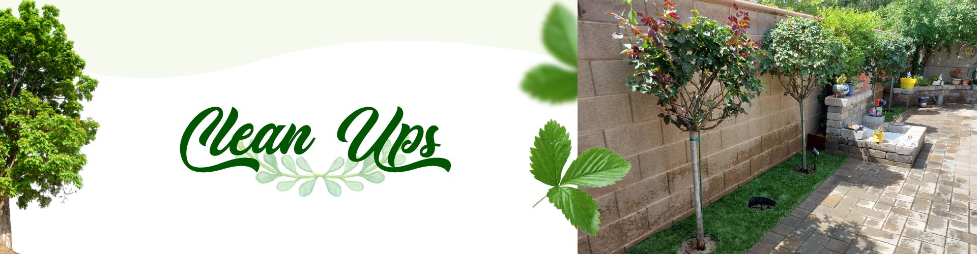 Lawn Cleans Ups Near Me Lawn Cleans Ups Near Me