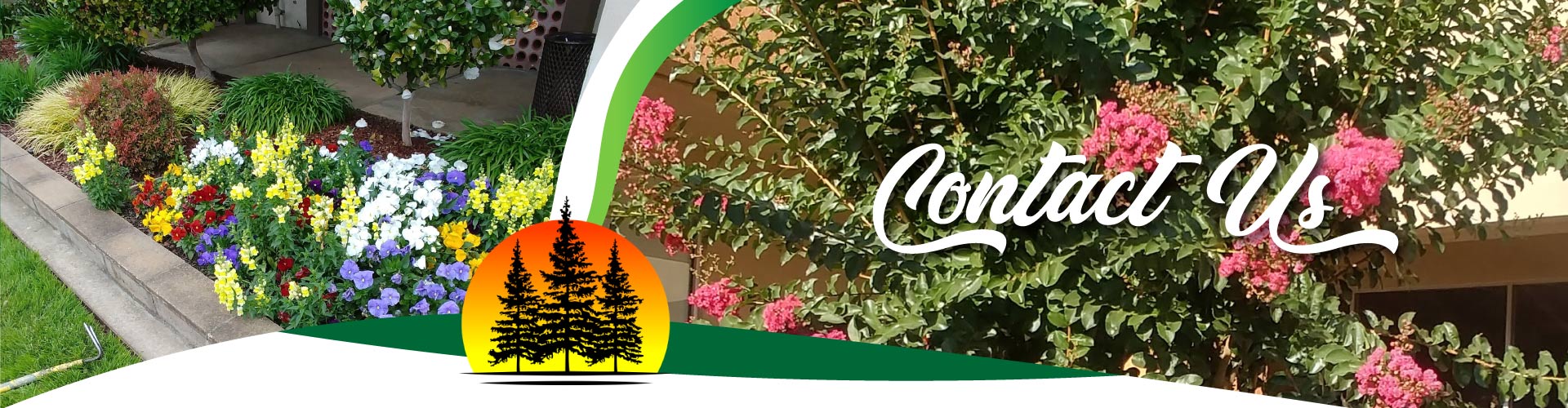 Contact Lawn care Near Me