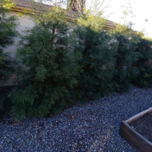 Built-in stone fire pit with seating