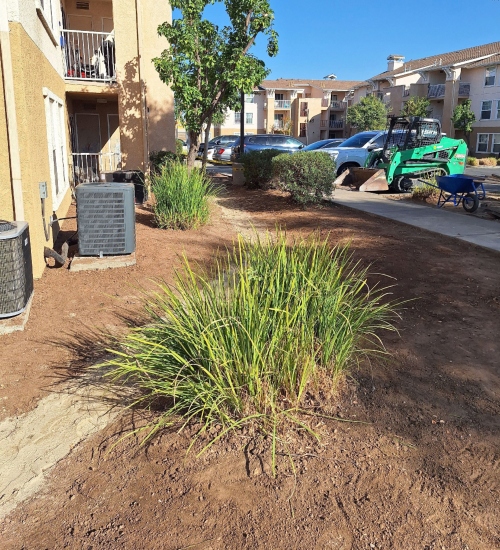 French Drain services near me