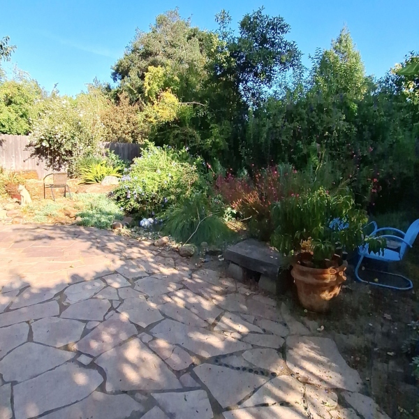 Lawn clean up service