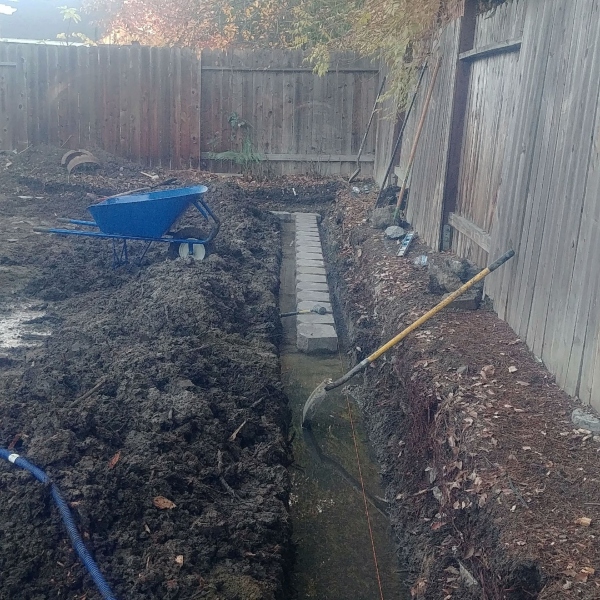 Low brick garden wall