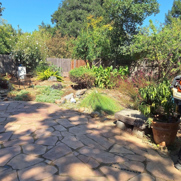 Professional lawn clean up Professional lawn clean up