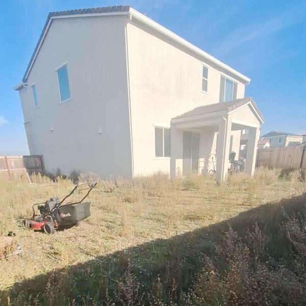 Residential lawn clean up