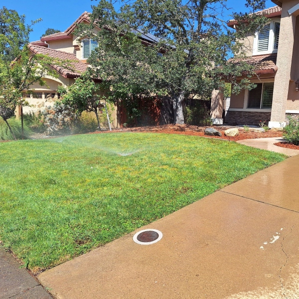 Residential sprinkler repair
