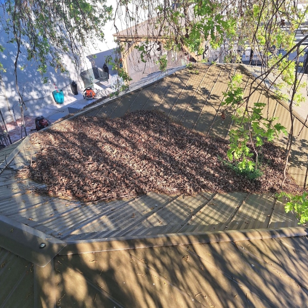 Spring lawn clean up Spring lawn clean up