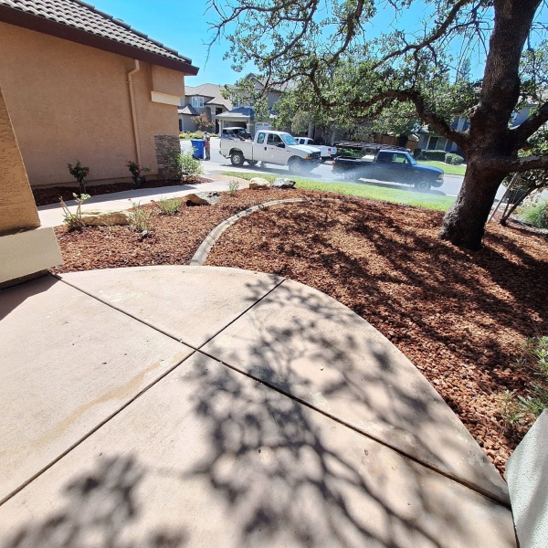 Tranquil pondless waterfall