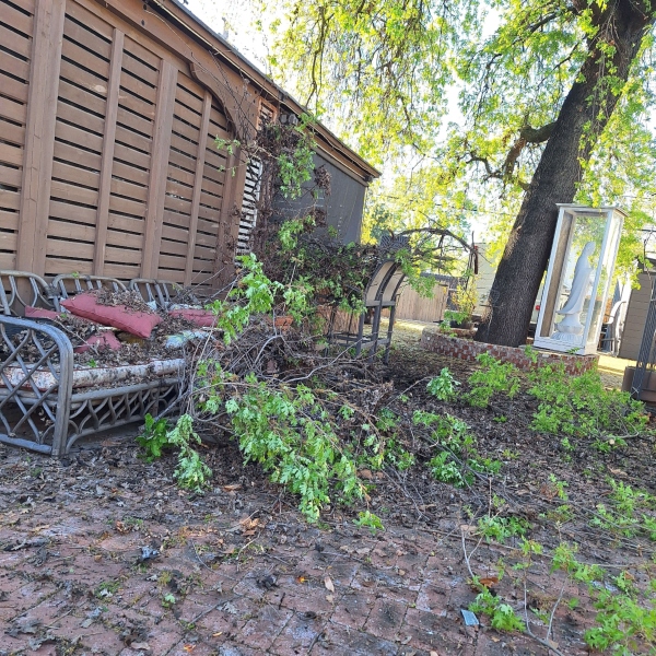 Yard clean up and hauling Yard clean up and hauling