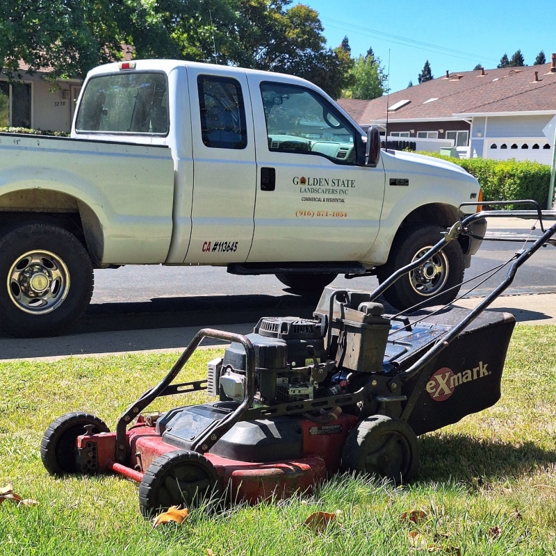 A clean and tidy lawn with perfectly edged garden beds and fresh mulch