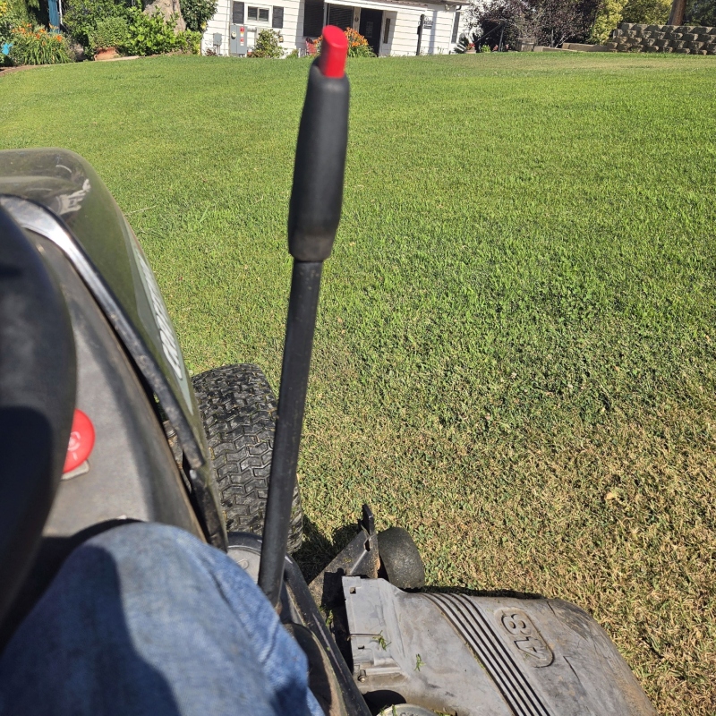 A lush, perfectly manicured front yard with vibrant green grass after a professional lawn treatment