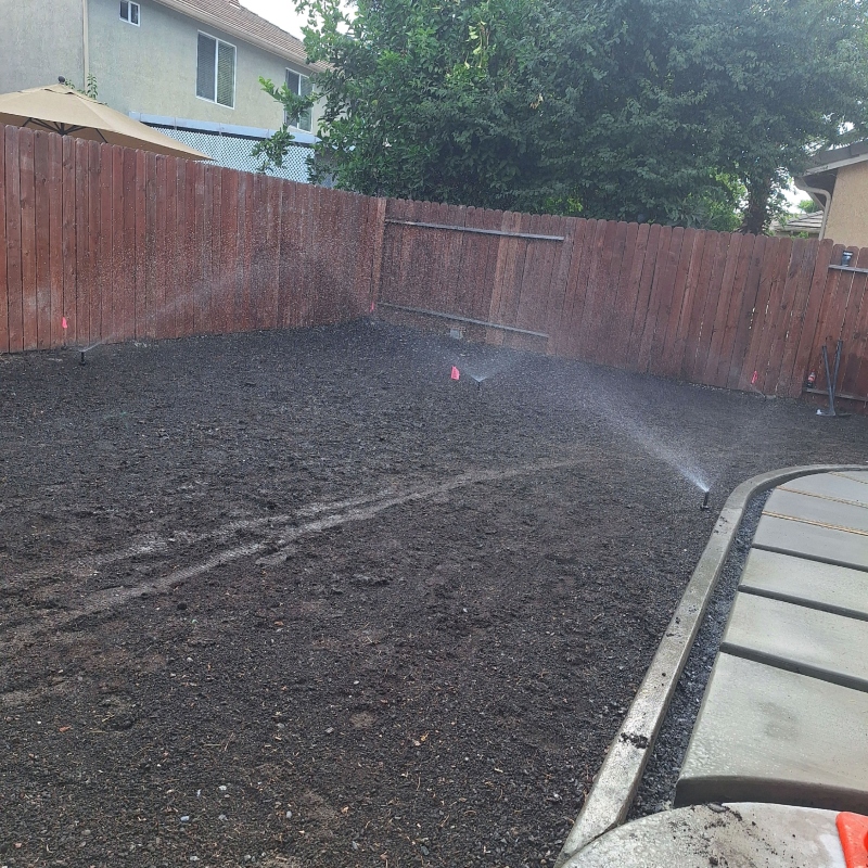 A professional using a push mower to create perfect stripes on a healthy green lawn