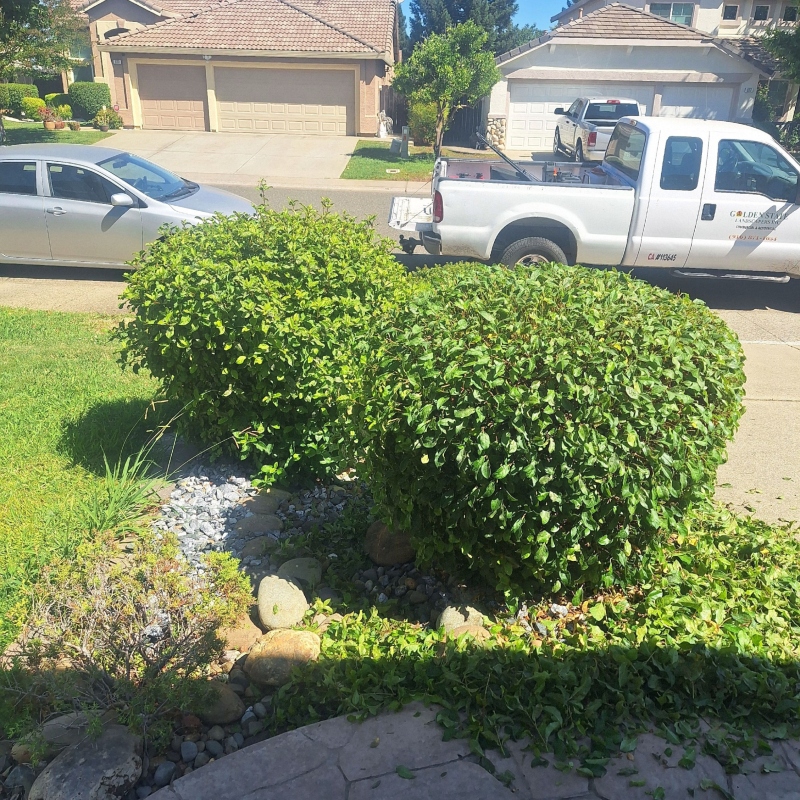 An automated sprinkler system watering a healthy residential lawn in the early morning