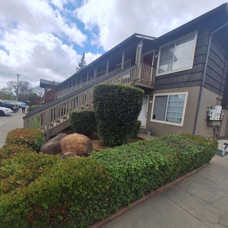 Close-up of lush, dense, and healthy grass after a fertilization treatment