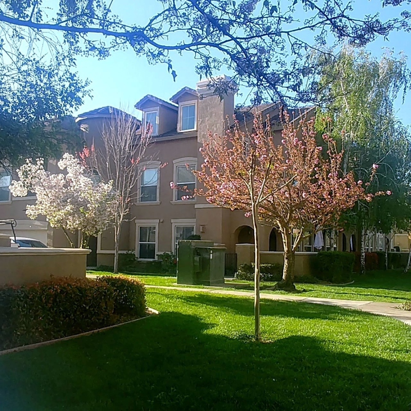 Professional landscaper planting colorful flowers in a residential garden bed