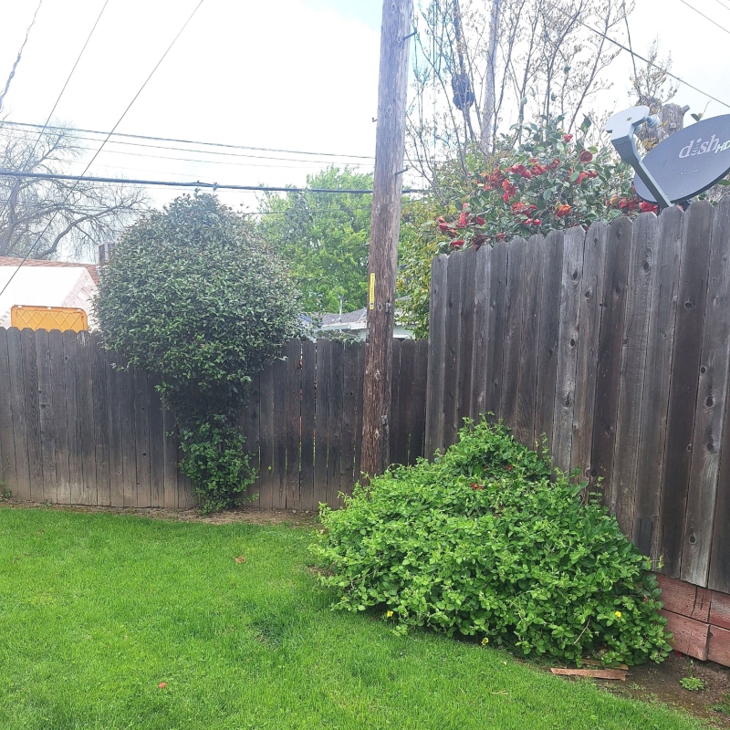 Serene backyard landscape featuring a cascading stone waterfall and a koi pond Serene backyard landscape featuring a cascading stone waterfall and a koi pond