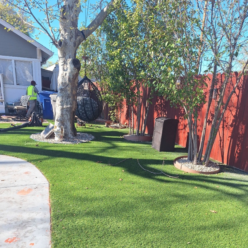 Side-by-side comparison of an overgrown, weedy yard before and after professional lawn maintenance Side-by-side comparison of an overgrown, weedy yard before and after professional lawn maintenance