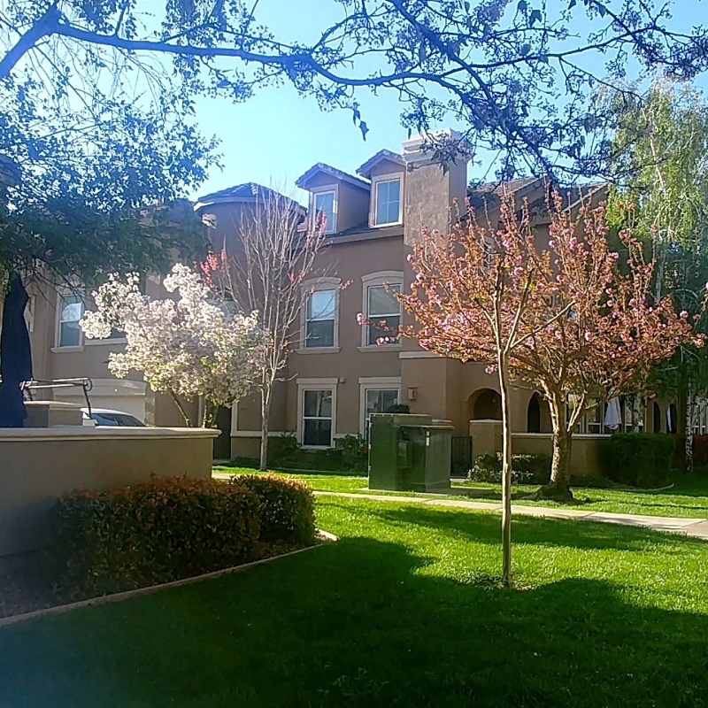Team of uniformed lawn service workers using an edger and mower on a commercial property Team of uniformed lawn service workers using an edger and mower on a commercial property