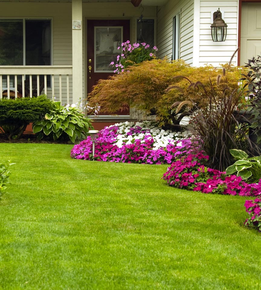 landscaping sacramento, ca