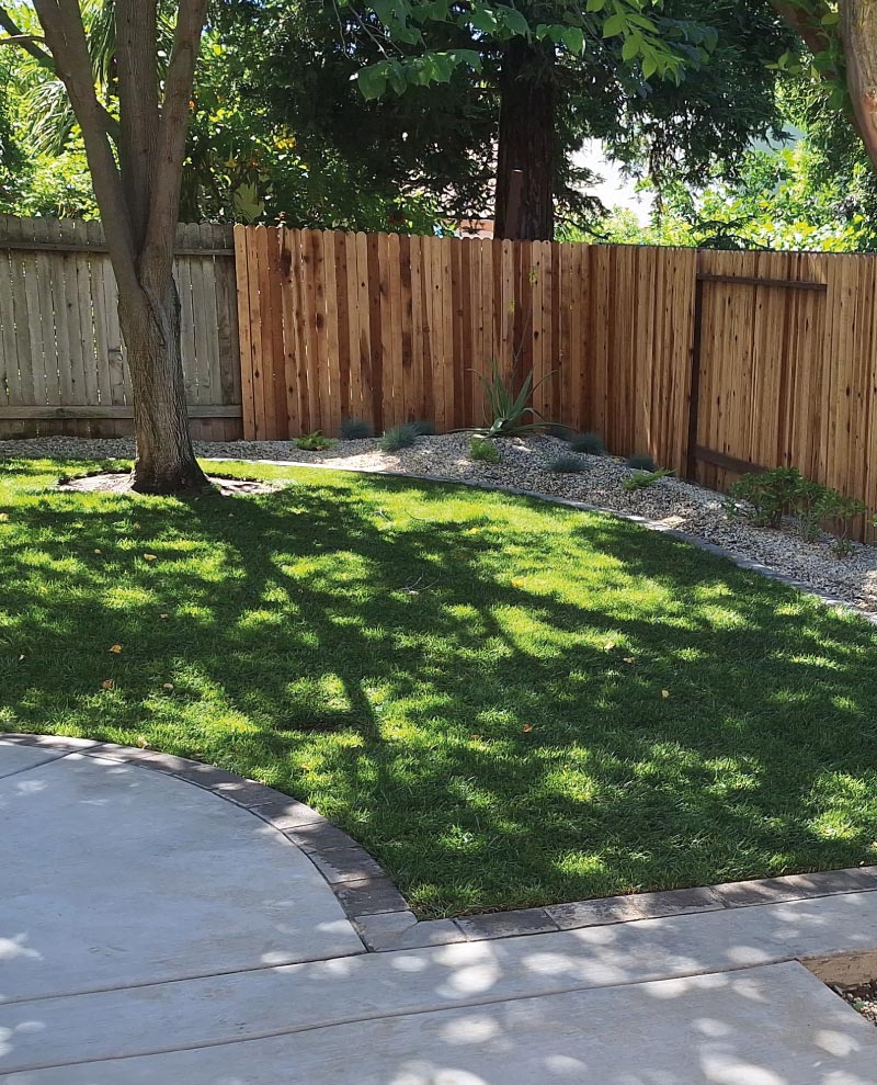  complete Lawn Services