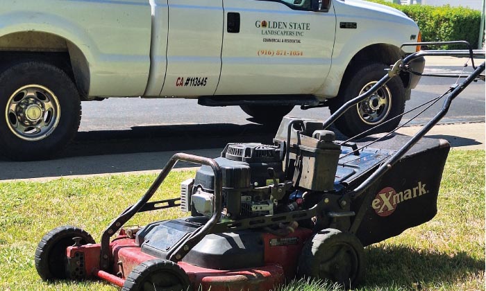 lawn service